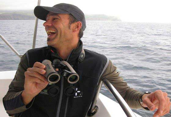 Spotting cetaceans